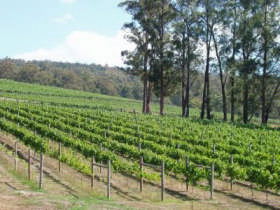 Piedmont Vineyard - Accommodation Whitsundays 0