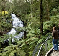Great Otway National Park - Accommodation Whitsundays