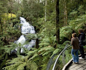 Great Otway National Park - Accommodation Whitsundays 0