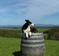 Windy Ridge Vineyard and Winery - Accommodation Whitsundays
