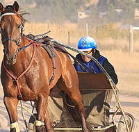 Ballarat  District Trotting Club - Accommodation Whitsundays
