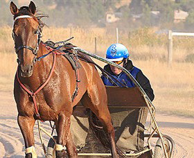 Ballarat & District Trotting Club - Accommodation Whitsundays 0