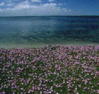 The Lakes National Park - Accommodation Whitsundays
