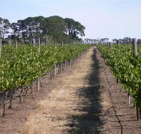 Mount Beckworth Wines - Accommodation Whitsundays