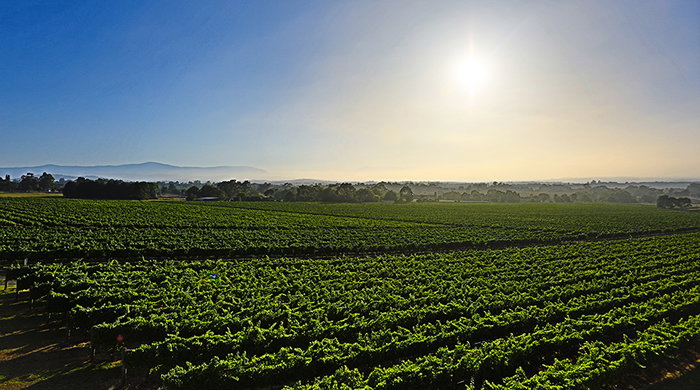 Accommodation Whitsundays