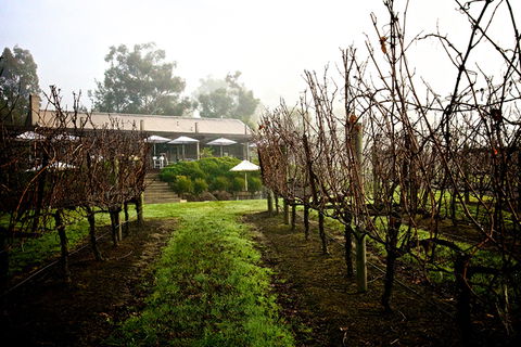 GREENSTONE VINEYARDS - Accommodation Whitsundays 4