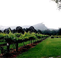 Cambewarra Estate Wines - Accommodation Whitsundays
