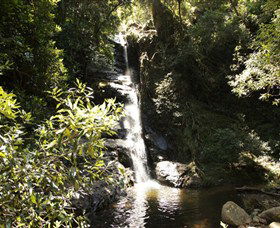 Macquarie Pass National Park - Accommodation Whitsundays 0