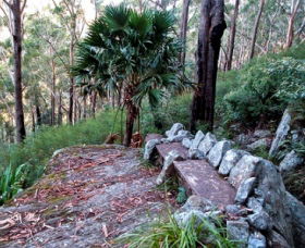 Wodi Wodi Walking Track - Accommodation Whitsundays 0