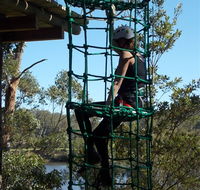 Trees Adventure Shoalhaven - Accommodation Whitsundays