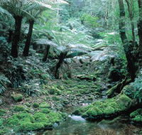 Deua National Park - Accommodation Whitsundays