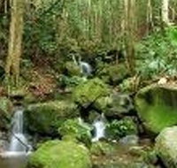 Budderoo National Park - Accommodation Whitsundays