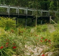 Eurobodalla Botanic Gardens - Accommodation Whitsundays