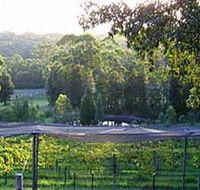 Lyrebird Ridge Organic Winery - Accommodation Whitsundays