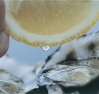 Pearly Oyster Bar and Farm - Accommodation Whitsundays