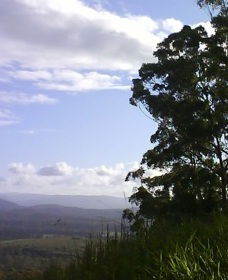 Sherwood Nature Reserve - Accommodation Whitsundays 0