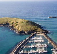 Muttonbird Island Nature Reserve - Accommodation Whitsundays