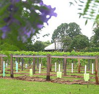 Douglas Vale Historic Homestead  Vineyard - Accommodation Whitsundays