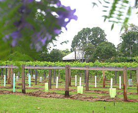 Douglas Vale Historic Homestead & Vineyard - Accommodation Whitsundays 0