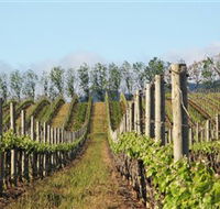 Philip Shaw Wines - Accommodation Whitsundays