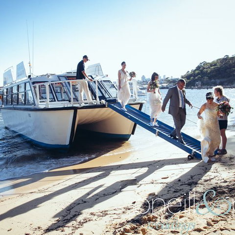 H2O Maxi Taxis - Accommodation Whitsundays 3