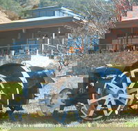 Lake George Winery - Accommodation Whitsundays
