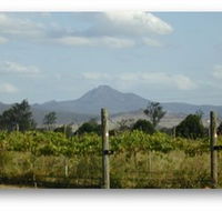 Ironbark Ridge Vineyard - Accommodation Whitsundays