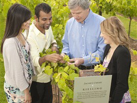 Jacob's Creek Vineyard Tour - Accommodation Whitsundays 0