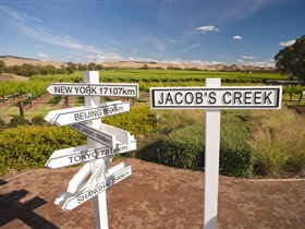 Jacob's Creek Vineyard Tour - Accommodation Whitsundays 1