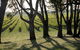 Henry's Drive Vignerons - thumb 0
