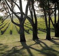 Henry's Drive Vignerons - Accommodation Whitsundays