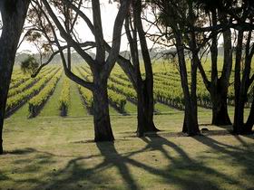 Henry's Drive Vignerons - Accommodation Whitsundays 0