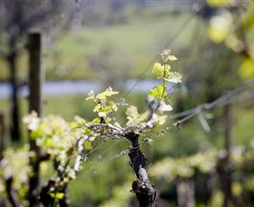 Bellarine Estate - Accommodation Whitsundays 0