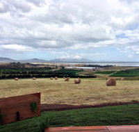 The Hazards Vineyard - Devil's Corner - Accommodation Whitsundays