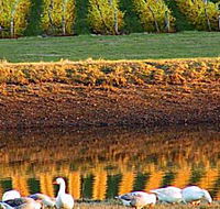 Pipers Brook Vineyard - Accommodation Whitsundays