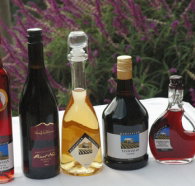 Hartzview Vineyard Heritage Pickers Hut Village - Accommodation Whitsundays