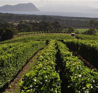 Bream Creek Vineyard - Accommodation Whitsundays