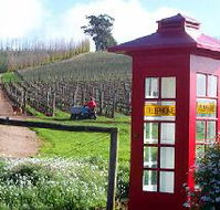 Dalrymple Vineyards - Accommodation Whitsundays