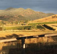 Optimiste Wines - Accommodation Whitsundays