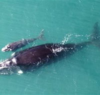 Fazshot Photography - Accommodation Whitsundays