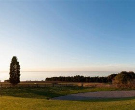 Jack Rabbit Vineyard - Accommodation Whitsundays 3