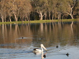Drysdale Cheeses - Accommodation Whitsundays 7