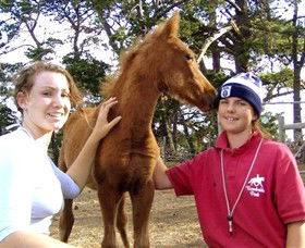 Bellarine Horse Riding Centre - Accommodation Whitsundays 1