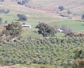Wymah Organic Olives And Lambs - Accommodation Whitsundays 0