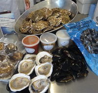 Advance Mussel Supply - Accommodation Whitsundays