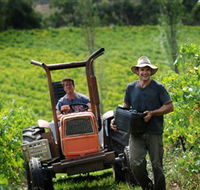 Kellybrook Winery Kelly Brothers Cider  Riders Brew Co. - Accommodation Whitsundays