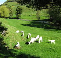 Karmic Goat Soapworks - Accommodation Whitsundays