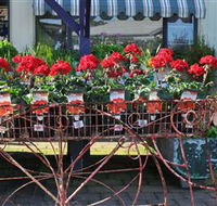 Van Loon's Nursery - Accommodation Whitsundays