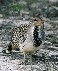 Ongerup ACT Accommodation Whitsundays