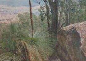 Burrowye VIC Accommodation Whitsundays